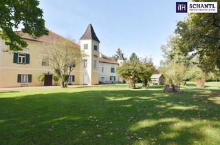 Wohnung mieten in Hart, 8410 Hart bei Wildon, MÄRCHENHAFTE Wohnung im SCHLOSS mit TERRASSE, eigenem WEINKELLER und Nutzung des SCHLOSSGARTENS! Ab sofort verfügbar!