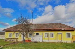 Einfamilienhaus kaufen in 2054 Alberndorf im Pulkautal, Großes Grundstück mit Einfamilienhaus und Lagerhalle