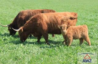 Bauernhäuser zu kaufen in 5280 Braunau am Inn, Bauernhof mit Vielfalt im Bezirk Braunau!