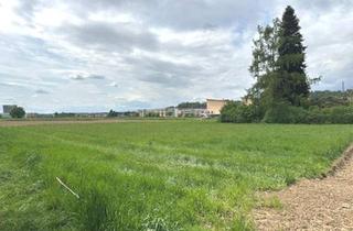 Grundstück zu kaufen in 8054 Graz, Gewerbegrundstück für Betriebsansiedelung