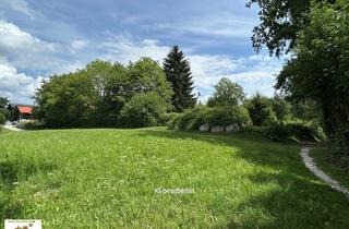 Grundstück zu kaufen in 4910 Ried im Innkreis, neuer Kaufpreis: Traumhaftes Grundstück am Stadtpark in Ried im Innkreis – Ihr neues Zuhause wartet!