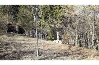 Grundstück zu kaufen in Nörenach 28, 9772 Draßnitzdorf, Grundstück mit Hütte / Dellach im Drautal