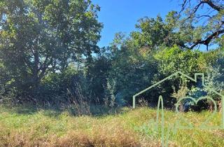 Grundstück zu kaufen in 7350 Oberpullendorf, GRUNDSTÜCK mit Architektur-Entwurfsplanung in Zentrumsnähe