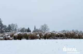 Grundstück zu kaufen in 5280 Braunau am Inn, Landwirtschaftliche Grundstücke