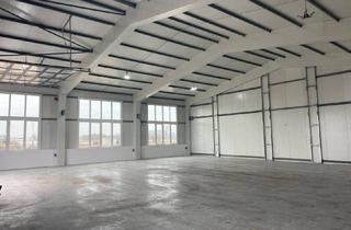 Gewerbeimmobilie mieten in 2431 Enzersdorf an der Fischa, 370qm topausgestattete Gewerbehalle für Werkstatt oder Lager