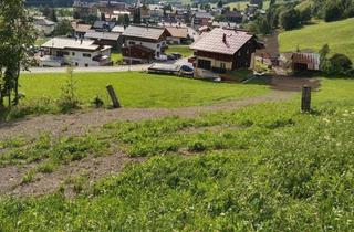 Grundstück zu kaufen in 6754 Klösterle, Gelegenheit! 1,2 ha Wiese und Wald Klösterle/Arlberg zu kaufen