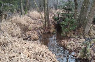 Immobilie kaufen in Details Bei Anfrage, 3902 Vitis, Vitis: 2,14ha Grundstück (Wiese & Wald mit Bachlauf): Ideal für ein Teichprojekt