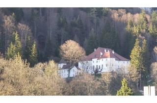 Haus kaufen in Niederhofen, 8950 Stainach, Renaissance-Schloss auf 15 ha Grund – seltene Gelegenheit für touristische Nutzung oder Family Office