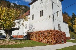 Haus kaufen in Niederhofen, 8950 Stainach, Renaissance-Schloss auf 15 ha Grund – seltene Gelegenheit für touristische Nutzung oder Family Office