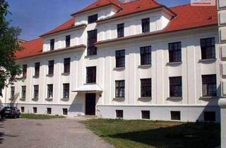 Wohnung mieten in Kasernenstraße, 2602 Blumau-Neurißhof, 2-Zimmer Altbauwohnung