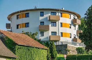 Wohnung mieten in Marktplatz 90/3, 3945 Hoheneich, Junges Wohnen in Hoheneich