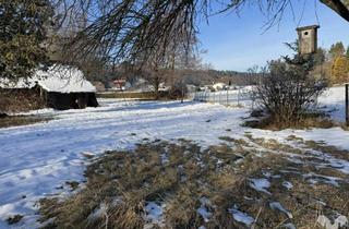 Grundstück zu kaufen in 8151 Hitzendorf, Idyllisch Leben - Grundstück mit altem Baumbestand