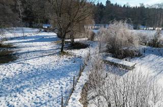 Grundstück zu kaufen in 8151 Hitzendorf, Idyllisch Leben - Grundstück mit altem Baumbestand und Teich