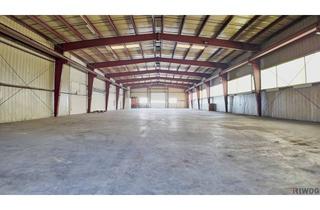 Büro zu mieten in 2301 Groß-Enzersdorf, 900m² Produktionshalle mit optionalen Freiflächen und Büros