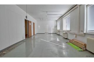 Büro zu mieten in 2301 Groß-Enzersdorf, 360m² Feinproduktion/Lager/Büro mit optionaler Produktionshalle und Freiflächen!