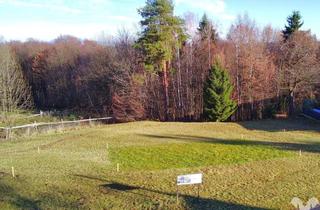 Grundstück zu kaufen in 8503 Sankt Josef (Weststeiermark), Idyllischer, absolut ruhig gelegener Baugrund am Waldrand