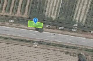 Grundstück zu kaufen in L 23, 2162 Falkenstein, 51 m² Wiese in Falkenstein/NÖ