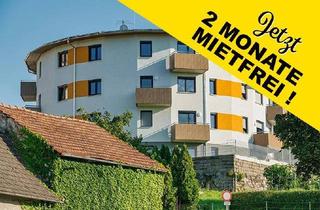 Wohnung mieten in Marktplatz 90/9, 3945 Hoheneich, Junges Wohnen in Hoheneich