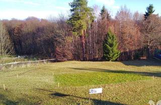 Grundstück zu kaufen in 8503 Sankt Josef (Weststeiermark), Idyllischer, Absolut Ruhig Gelegener Baugrund am Waldrand