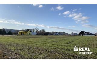 Grundstück zu kaufen in 4614 Marchtrenk, Gewerbegrundstücke an der B1 in Marchtrenk ? 5129 m² für Ihre Vision!