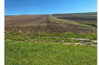 Grundstück zu kaufen in 2004 Niederhollabrunn, Acker in Bruderndorf