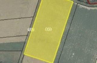 Grundstück zu kaufen in 2105 Unterrohrbach, KLEINE ACKERFLÄCHE