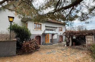 Mehrfamilienhaus kaufen in 2801 Katzelsdorf, Großfamilienhit - zwei Häuser mit großem Garten