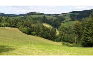 Gewerbeimmobilie kaufen in 2860 Kirchschlag in der Buckligen Welt, 418.750 m² Wälder/Ackerland/Grünland - in der Buckligen Welt - Ihre Invenstition in Grund und Boden!