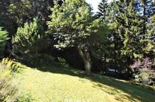 Grundstück zu kaufen in An der Grenze, 1140 Wien, Baugrundstück im Augustinerwald - Naturidylle mit Hanglage