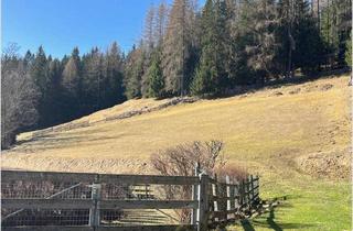 Grundstück zu kaufen in 9546 Kleinkirchheim, Seltene Gelegenheit! Grundstück im historischen Zentrum von St. Oswald/ Kärnten
