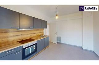 Wohnung mieten in 8010 Graz, Frisch renovierte 4-Zimmer-Wohnung mit Balkon und Innenhofblick in zentraler Grazer Lage! Gleich anfragen - es lohnt sich!