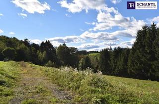 Grundstück zu kaufen in 8301 Laßnitzhöhe, Rastbühel – Wohnen am Stadtrand mit Blick ins Grüne