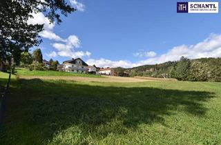 Grundstück zu kaufen in 8524 Bad Gams, Ihr Traumhaus wird Realität: Idyllisches Baugrundstück in Bad Gams mit sonniger Südausrichtung, allen Anschlüssen und ruhiger, naturnaher Wohnlage