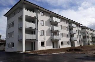 Wohnung mieten in Dr.-Scheiber-Straße 26, 4870 Vöcklamarkt, Vöcklamarkt, Dr.-Scheiber-Straße 26