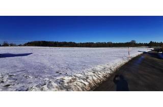 Grundstück zu kaufen in 5166 Perwang am Grabensee, 1000 m2 sonniger Baugrund Nähe Grabensee