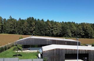 Einfamilienhaus kaufen in 8081 Heiligenkreuz am Waasen, Architekten Bungalow