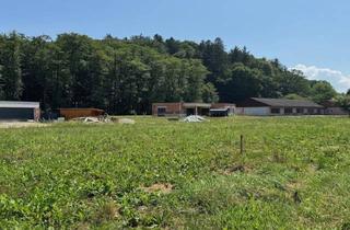 Grundstück zu kaufen in 8421 Wolfsberg im Schwarzautal, Baugrundstück in Wolfsberg im Schwarzautal