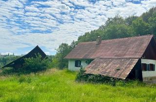 Immobilie kaufen in 8462 Gamlitz, Landwirtschaft inmitten der suedsteirischen Weinberge