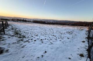 Grundstück zu kaufen in Bahnhaltestelle Katsdorf, 4223 Weidegut, Einmalig gelegenes "Sundowner-Grundstück" im Speckgürtel von Linz