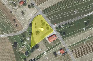 Grundstück zu kaufen in 7521 Eberau, Grundstück mit 275 Stk. "UHUDLER" Weinstöcke in Winten im Südburgenland