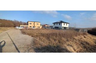 Grundstück zu kaufen in Wenzersdorf, 2152 Gnadendorf, Bauplatz mit Bauzwang (innerhalb 2 Jahre) zu verkaufen