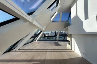 Penthouse mieten in 1010 Wien, Blick über Wien!!! DG Wohnung im Herzen des 1. Bezirks!