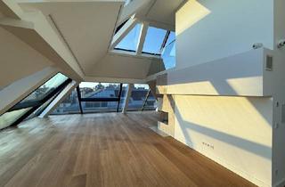 Penthouse mieten in 1010 Wien, Blick über Wien!!! DG Wohnung im Herzen des 1. Bezirks!