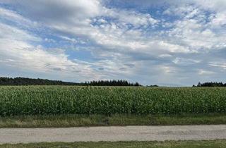 Gewerbeimmobilie kaufen in 3041 Großgraben, Acker- und Waldfläche mit rund 3,8 ha