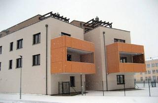 Genossenschaftswohnung in 2700 Wiener Neustadt, 2-Zimmer Wohnung mit Balkon - Eine echte Rückzugsnische mit Kaufoption! 3/10