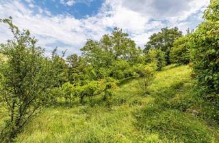 Grundstück zu kaufen in 1190 Wien, Exklusives Kleingartengrundstück mit Charme und Aussicht am Wiener Nussberg