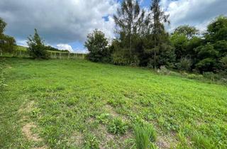 Grundstück zu kaufen in 8181 Sankt Ruprecht an der Raab, Traumhaftes Grundstück mit Fernblick