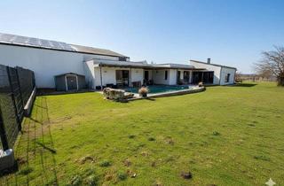 Haus kaufen in 7091 Breitenbrunn am Neusiedler See, Panoramablick über den Neusiedler See: Architekten Bungalow mit 140m² auf 1.102 m² Traumgrund