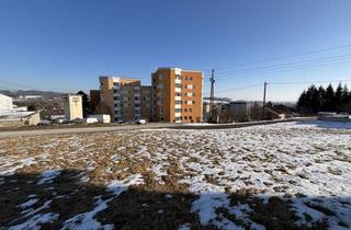 Grundstück zu kaufen in 4311 Schwertberg, Mein Baugrund - ohne Bauverpflichtung!