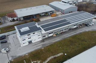 Gewerbeimmobilie kaufen in 7221 Marz, TOP-Betriebsobjekt ca. 6.200 m² - Büro, Hallen und Freifläche zu kaufen